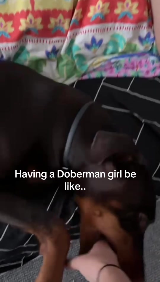 @Doina