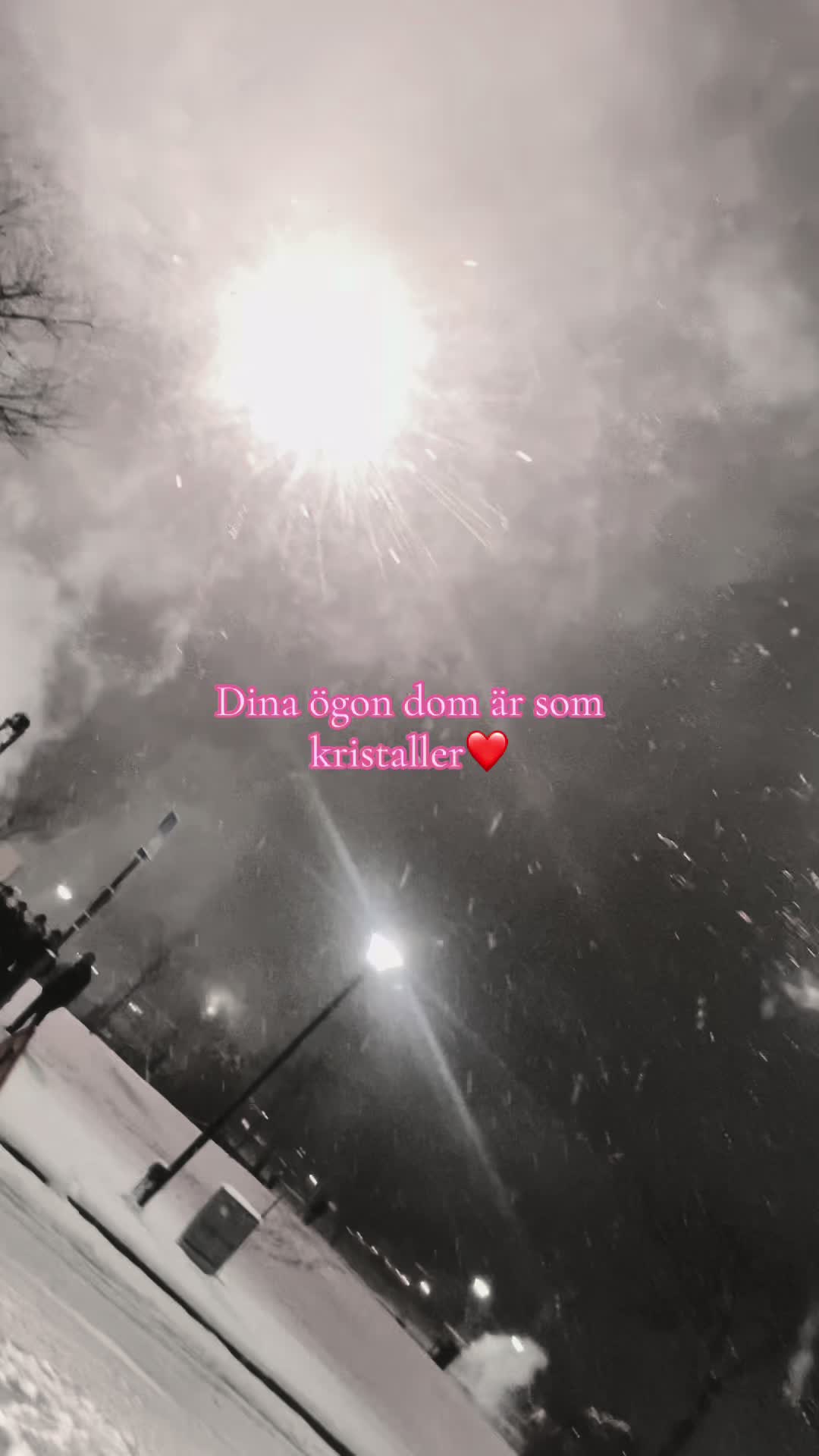 @ℰ𝓋ℯ𝓁𝒾𝓃𝒶❤️