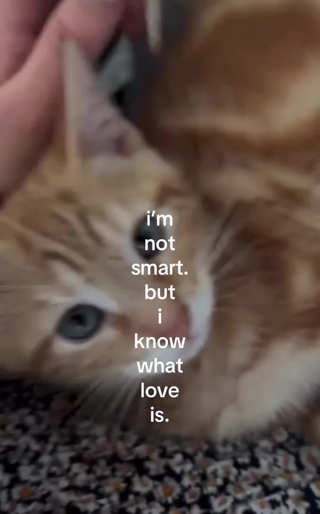 @mika🐌