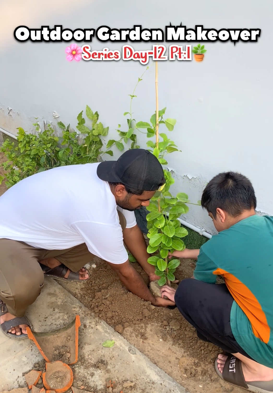 @Plantwithmomin