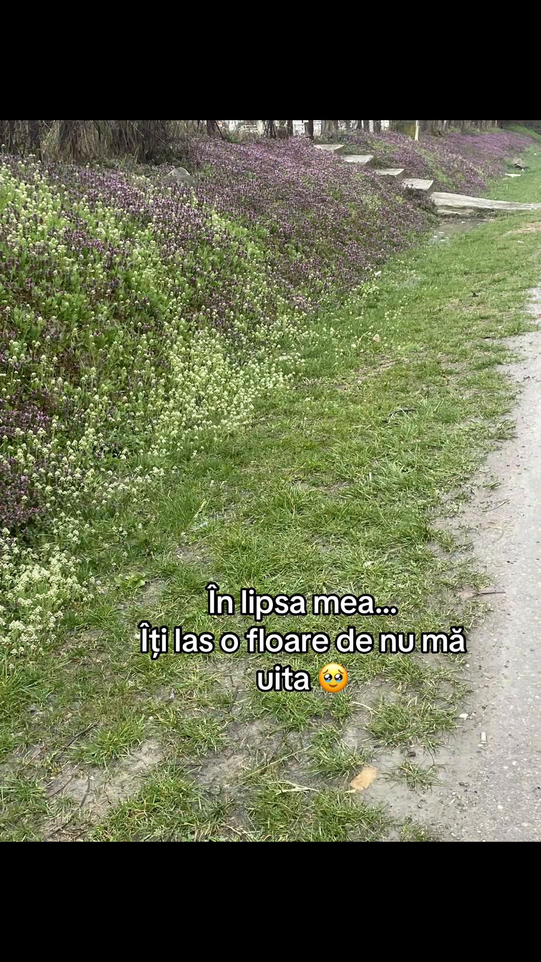 @imi_e_dor_de_noi