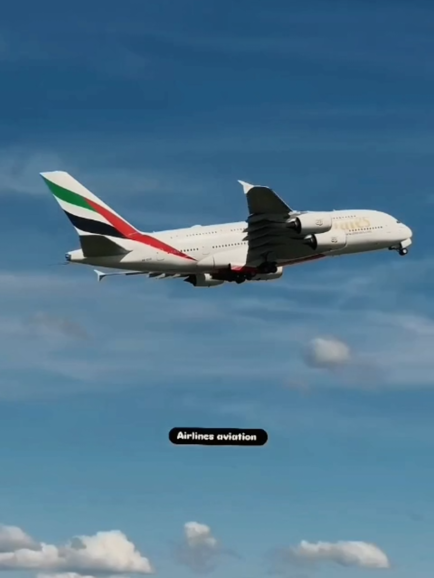 @Fly With Me