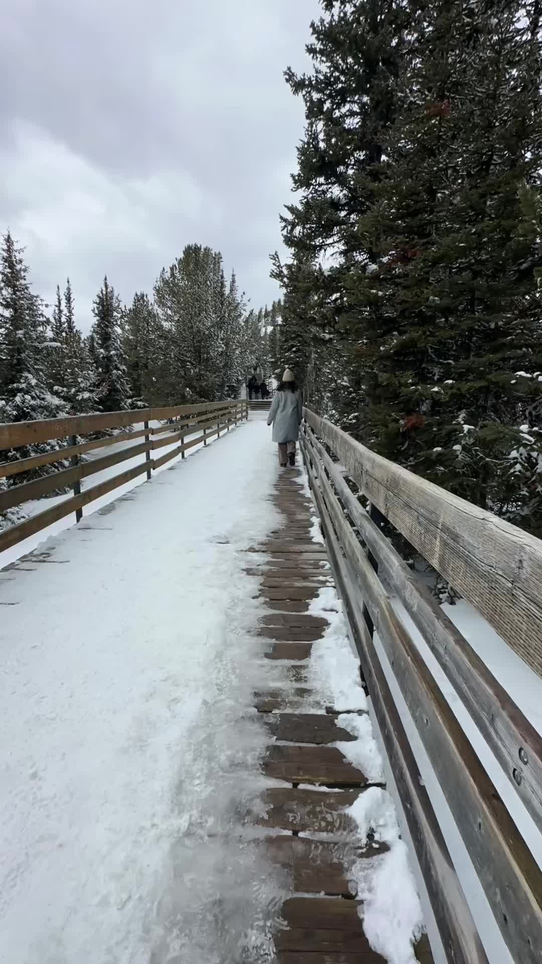 @Kuracho_Moves