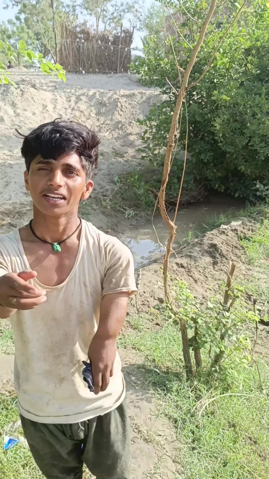 @گُڈو بادشاہ