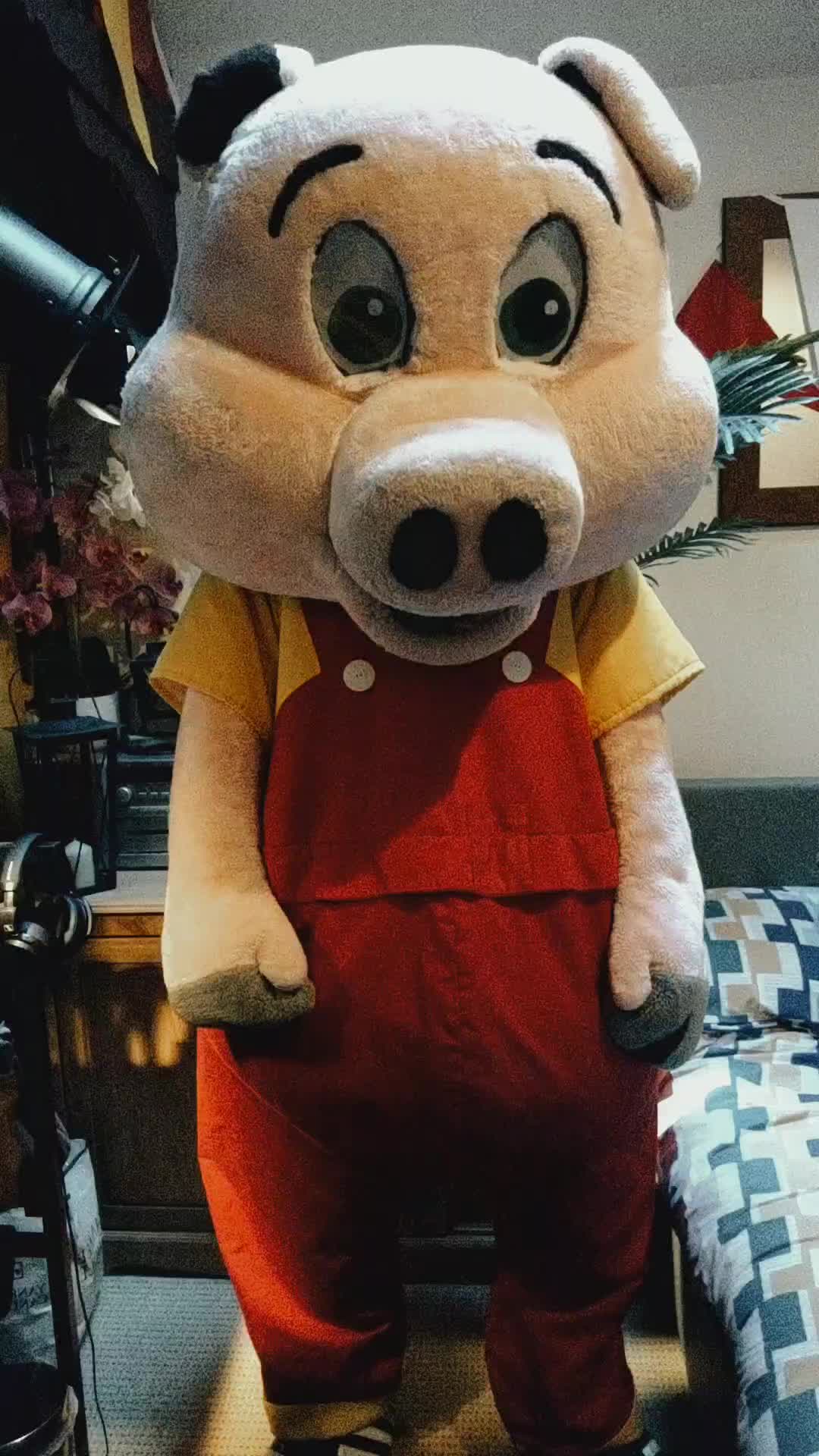 @Mascot Dan