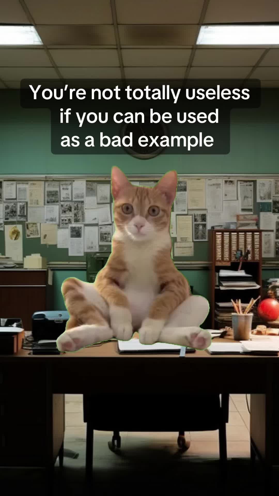 @Meow Town