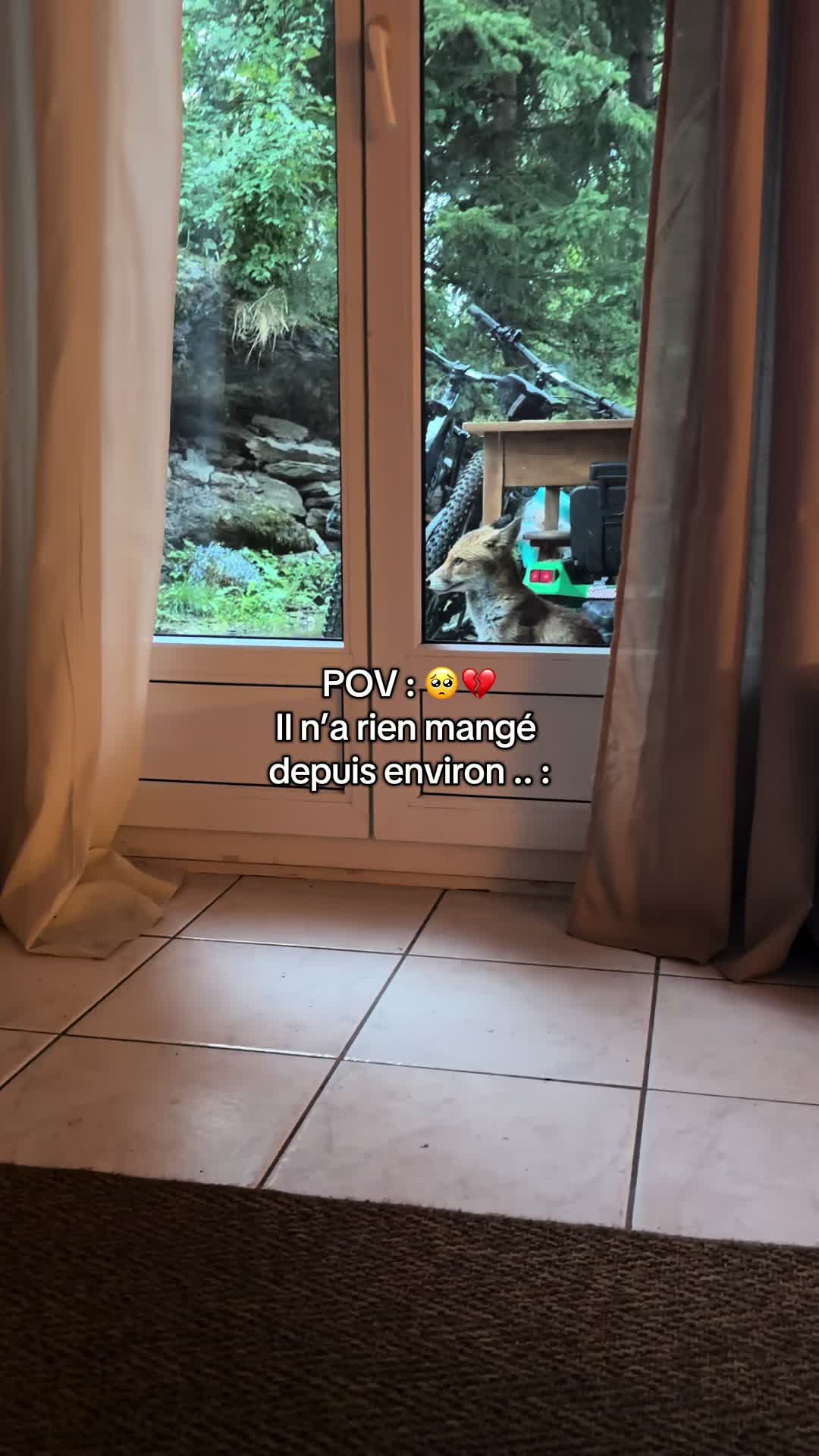 @ChezClacla🦊🇨🇭