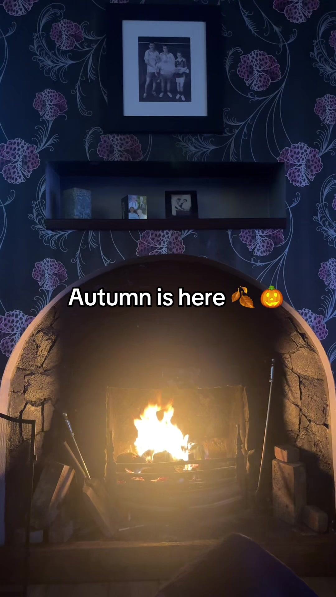 @lilacurri