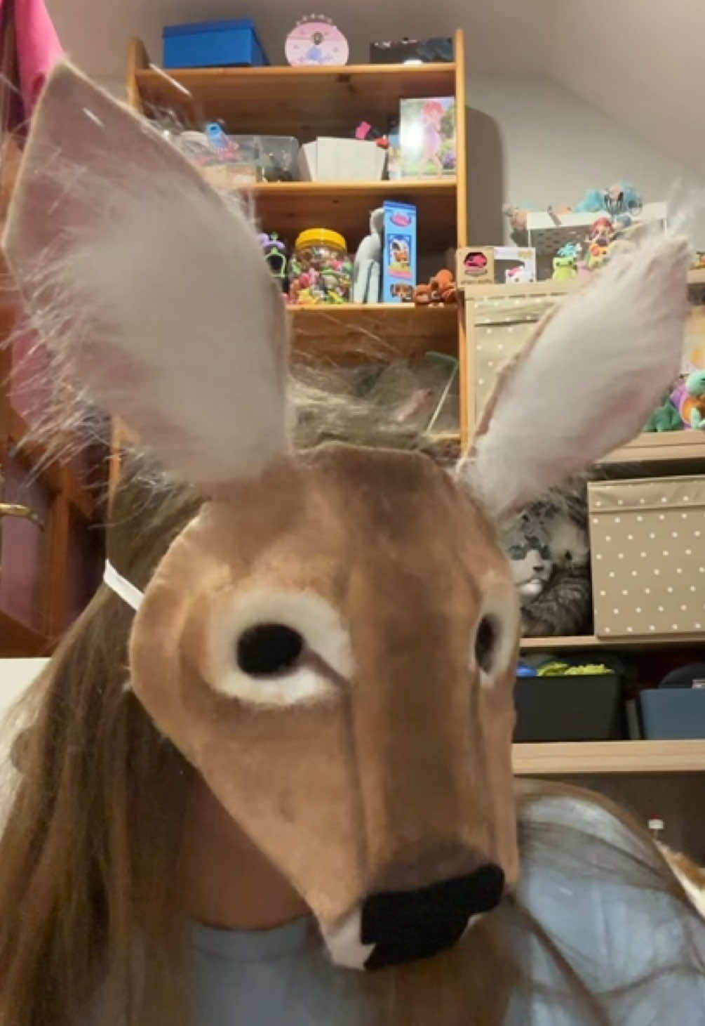 @★𝓚𝓸𝓻𝓪★