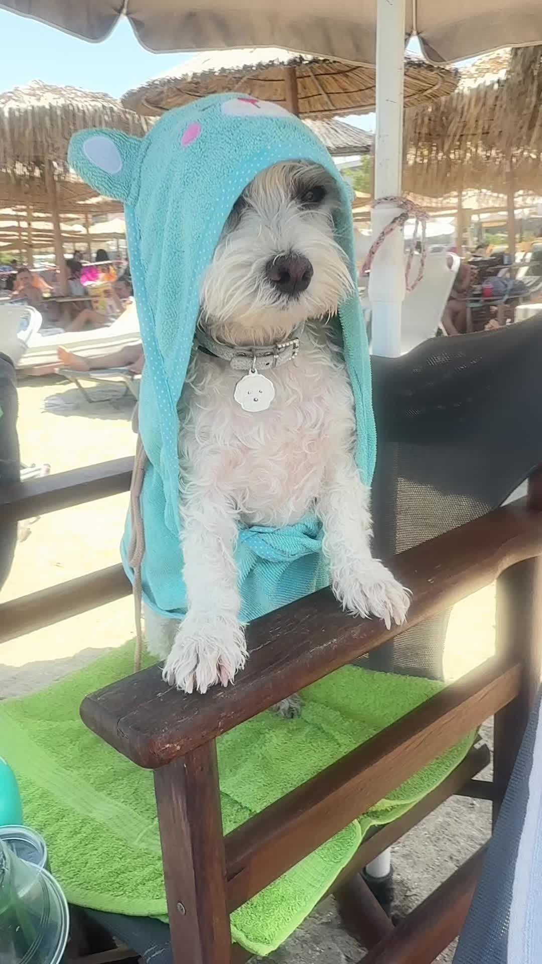 @Stella 🐾 Luki