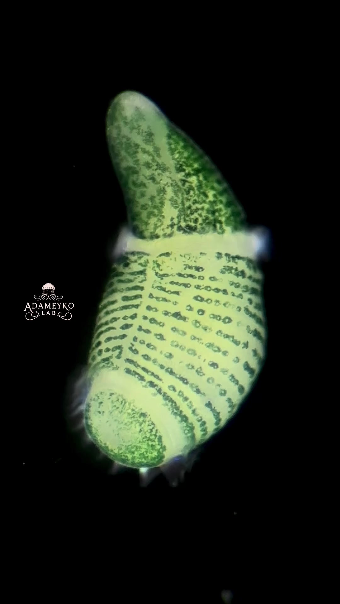 @The_story_of_a_biologist