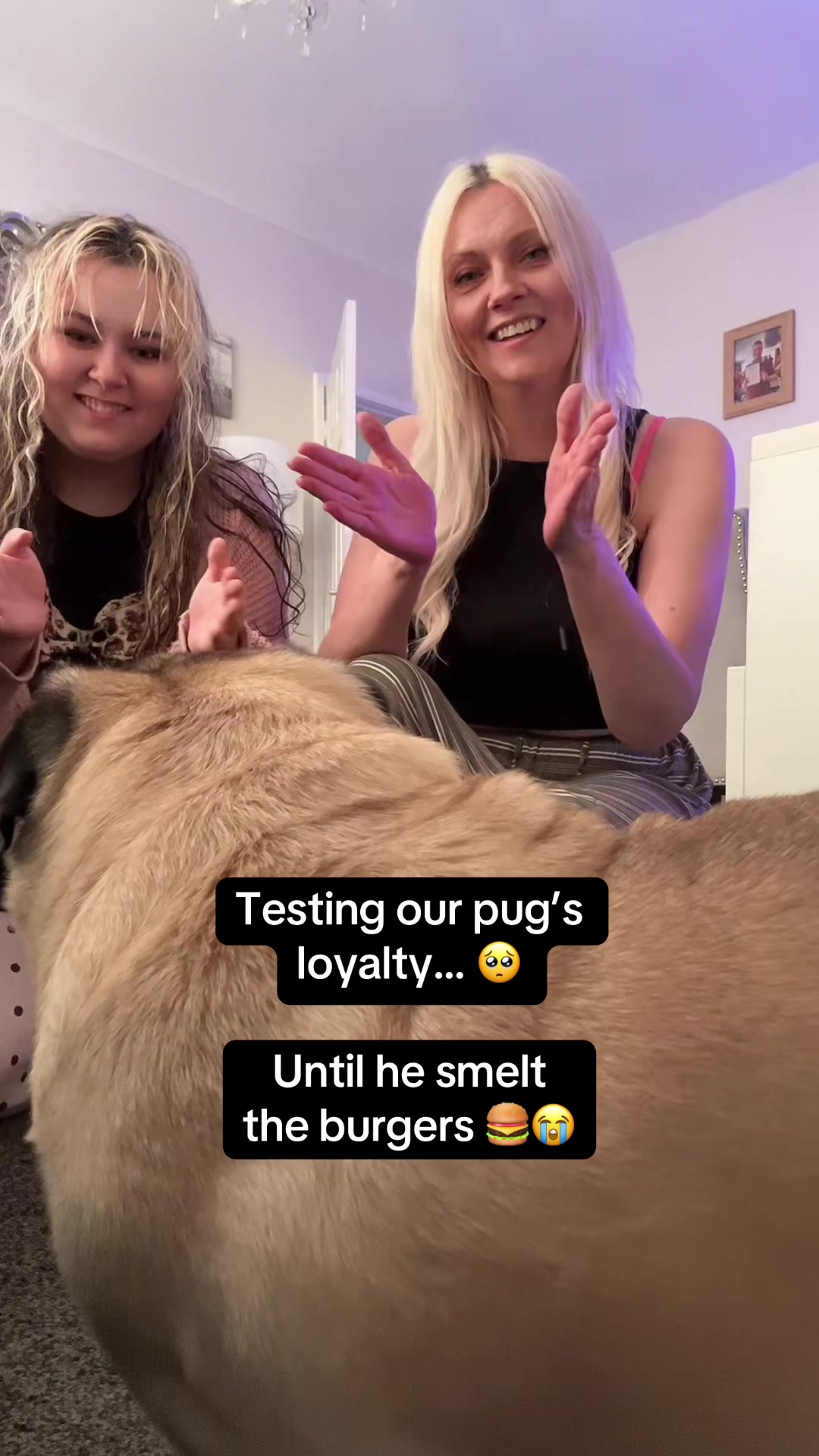 @Gemma