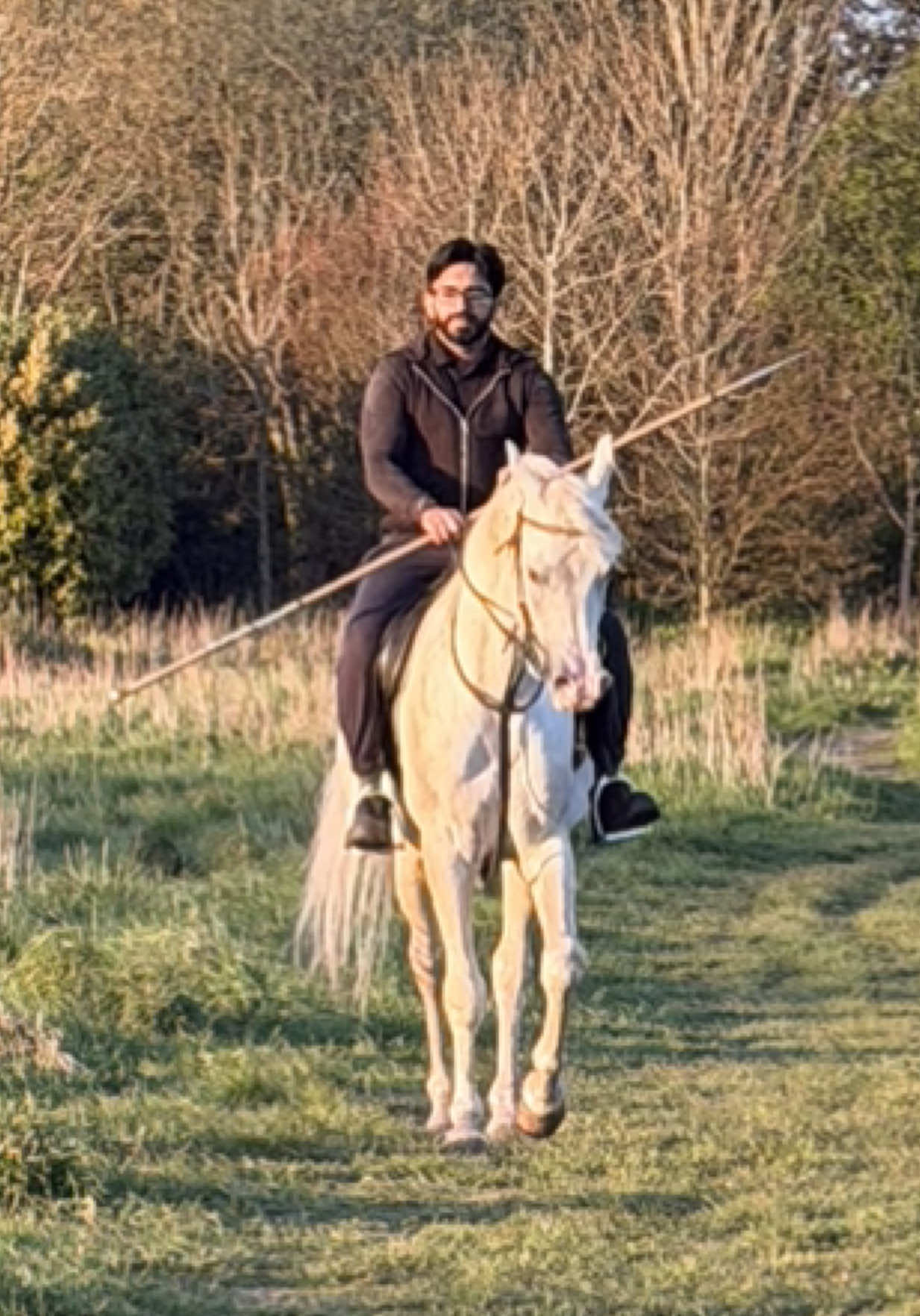 @thekhansarabianstudfarm