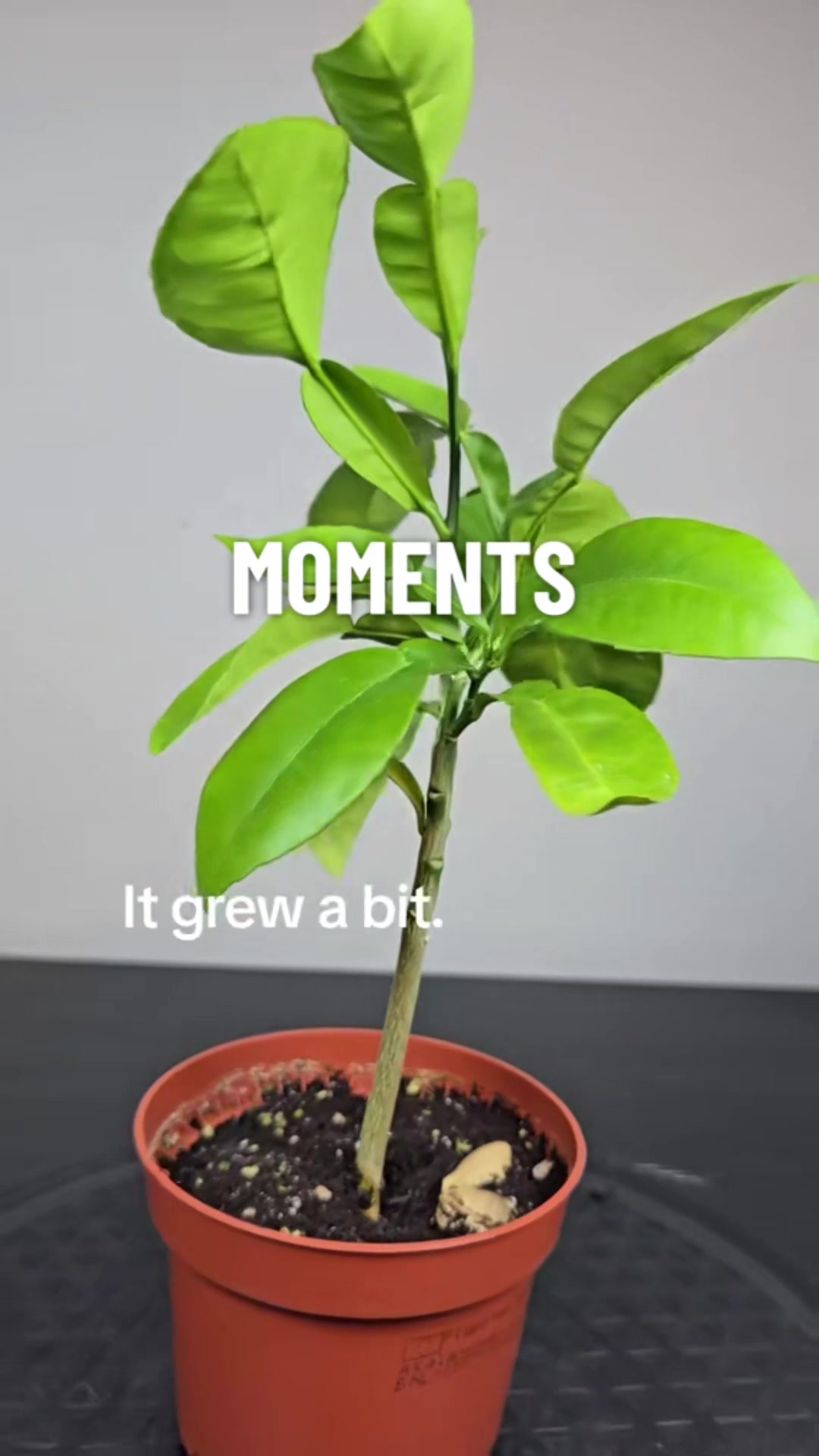 @RMPlantsJ