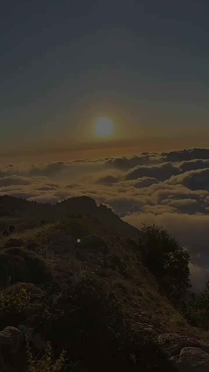 @🍂غمجن🍁