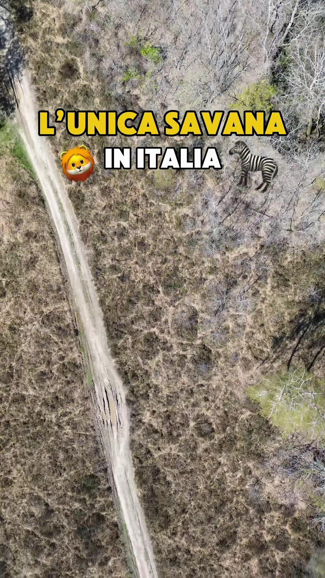 @Alessandra_Worldtrip