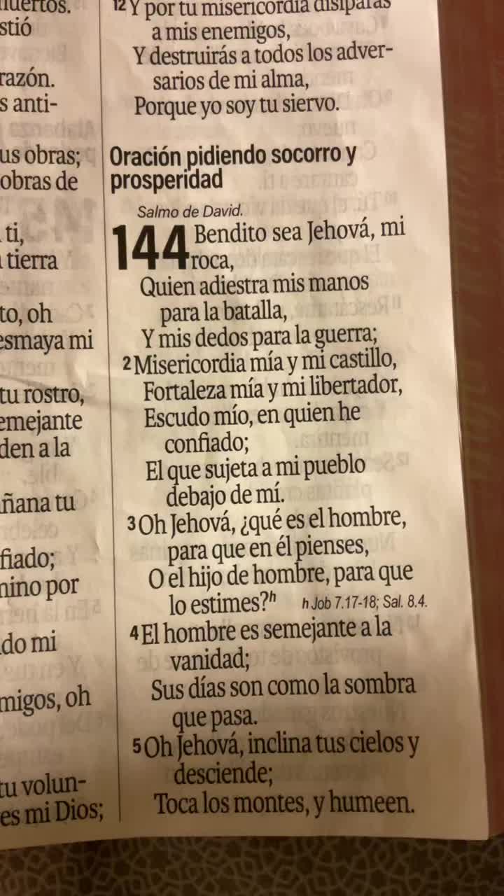 @rebeca10