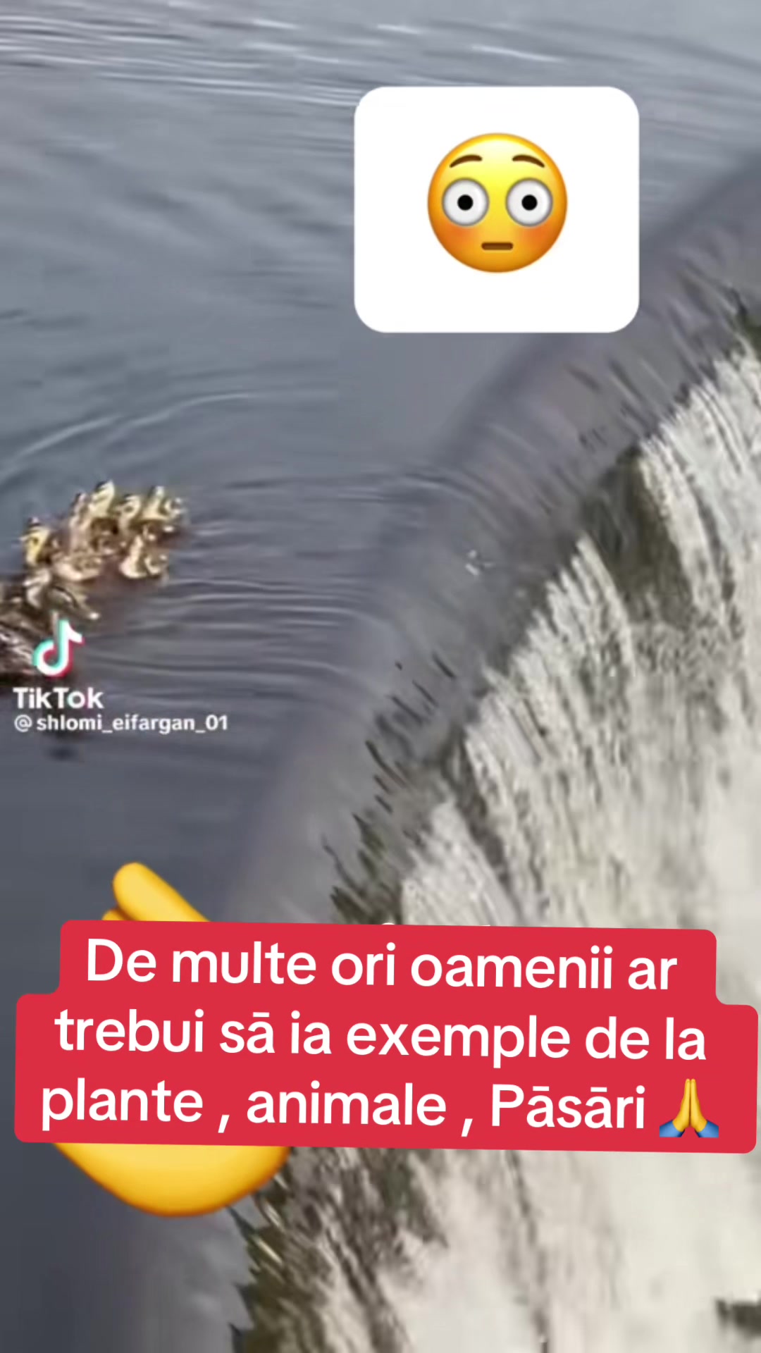 @Mos Craciun