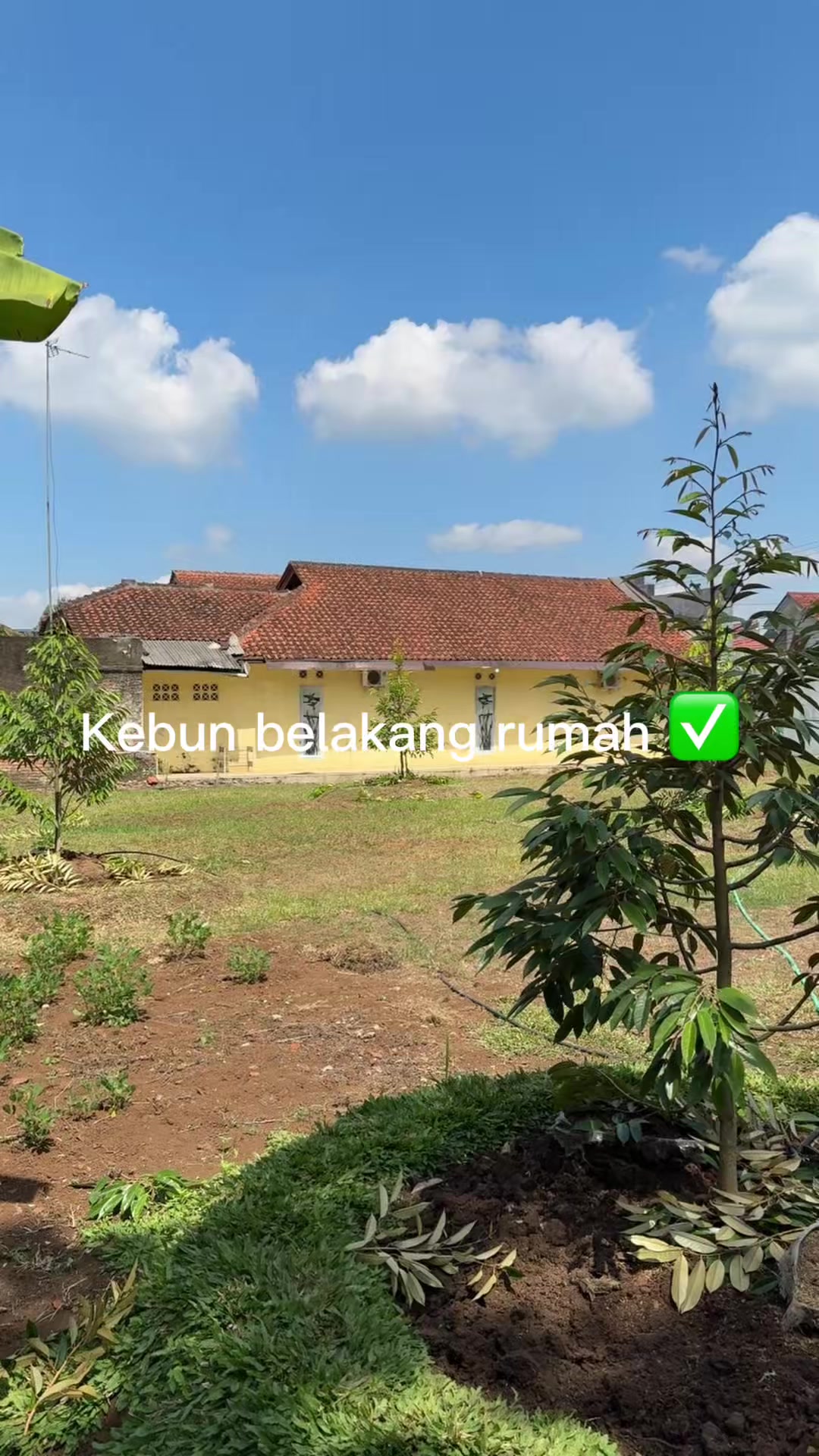 @AA KADU