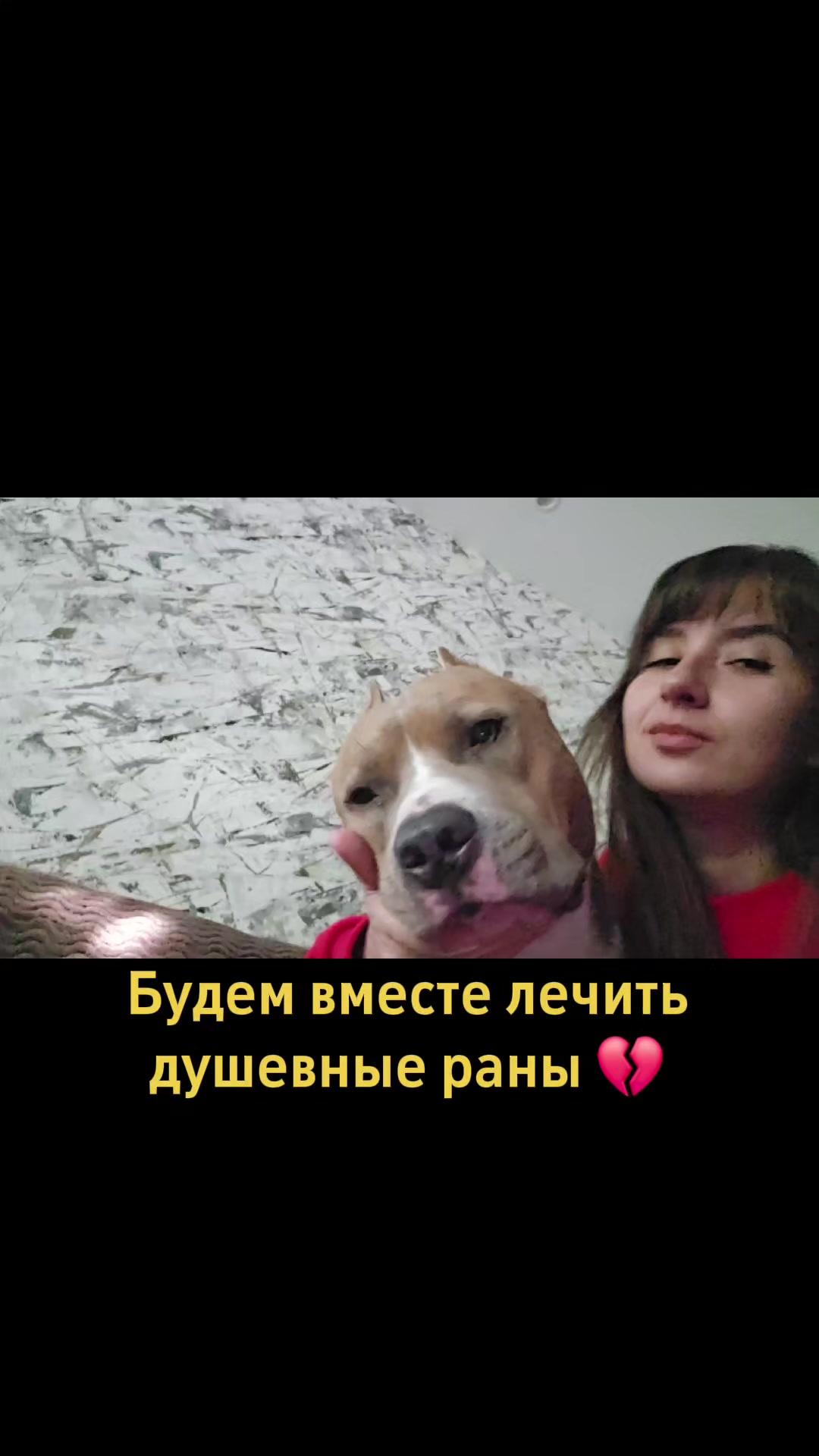 @Pitbul Fred