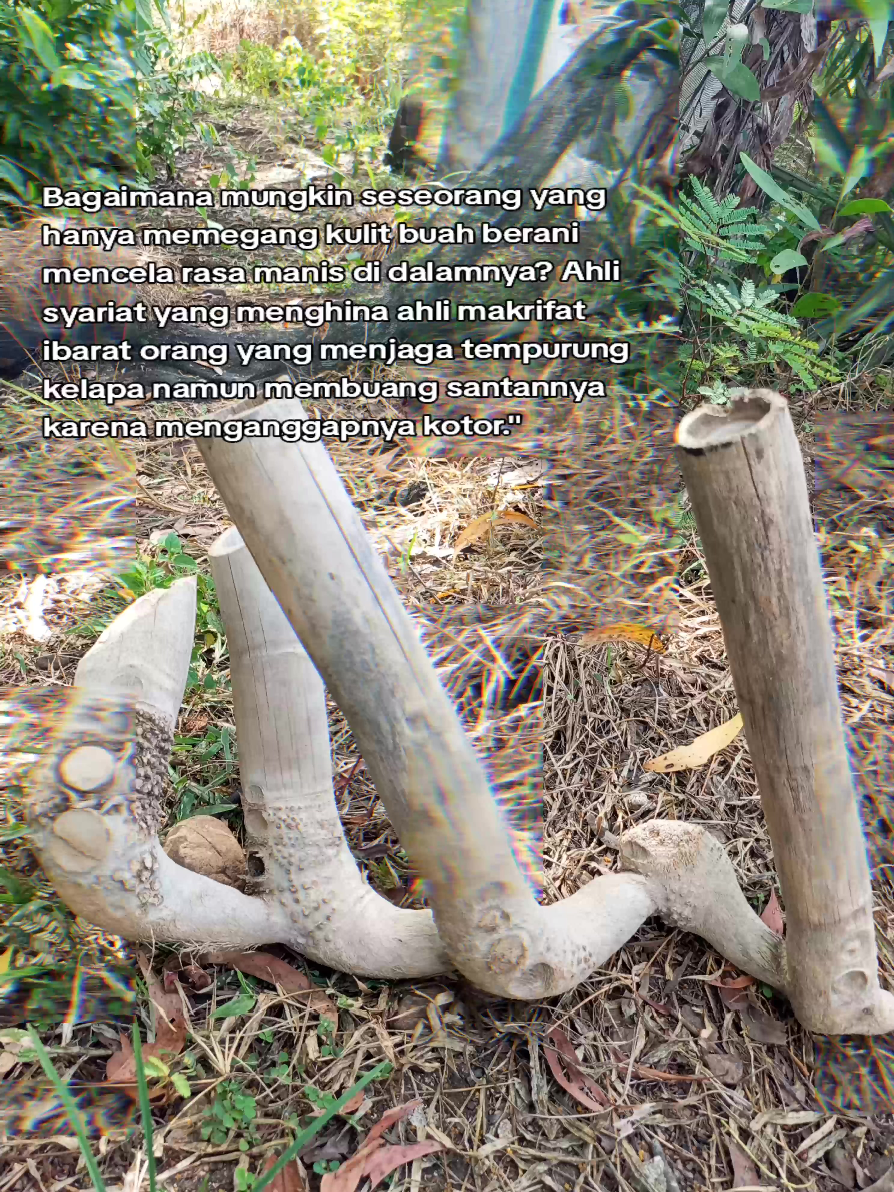 @Hamba اَللهُ