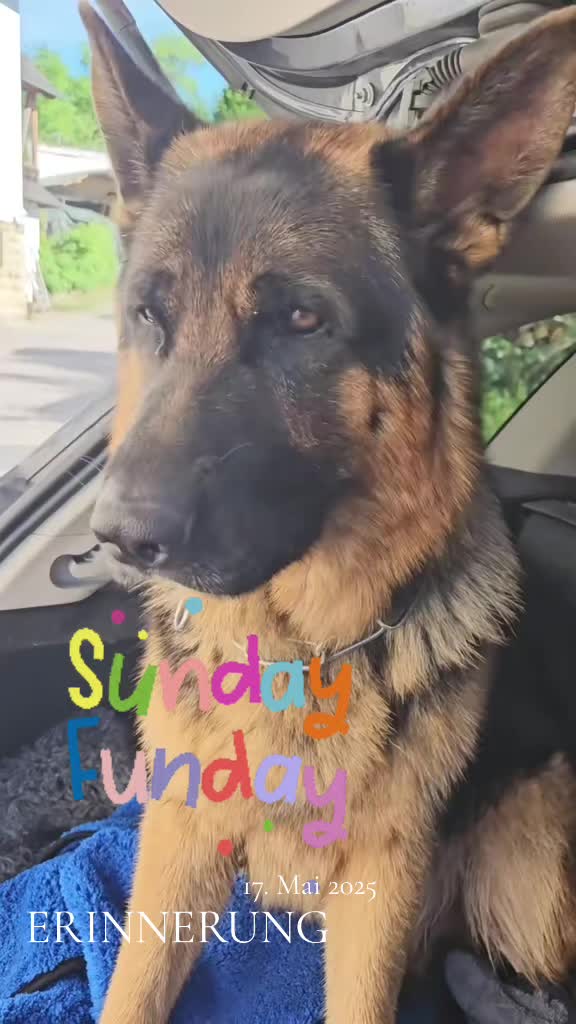 @Sonja Zoran