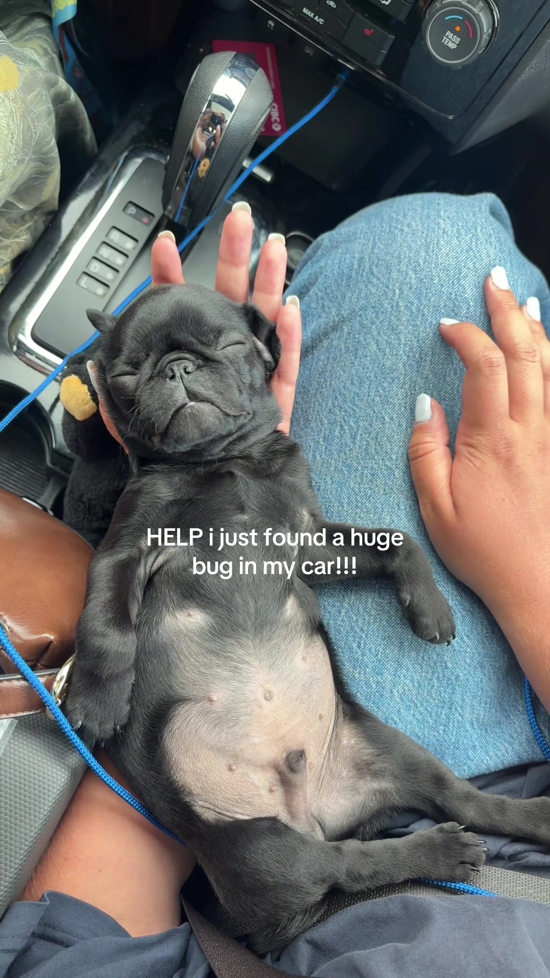 @Anja