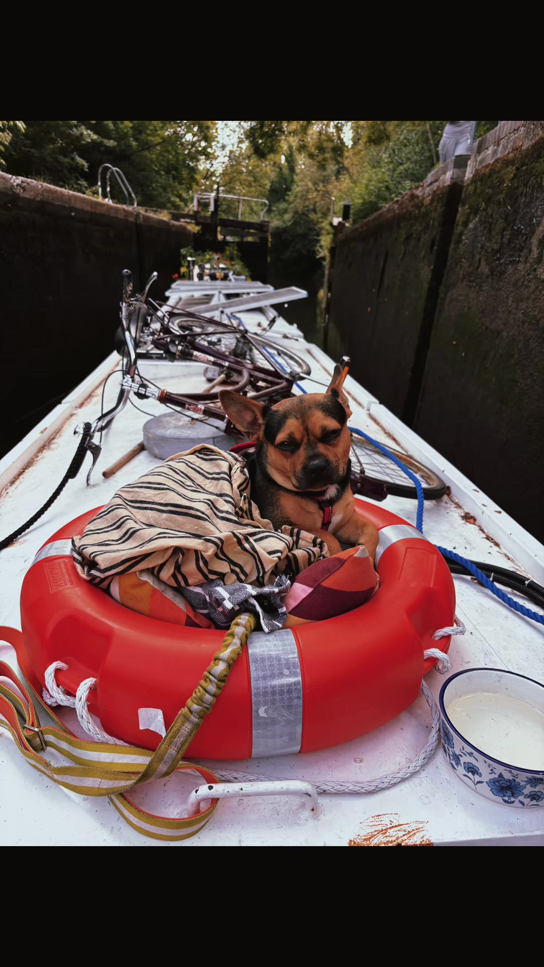 @artistonaboat