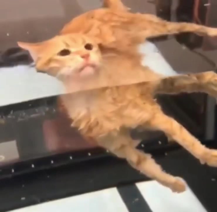 @๐๐จ๐ฏ๐๐๐๐๐ก๐พ