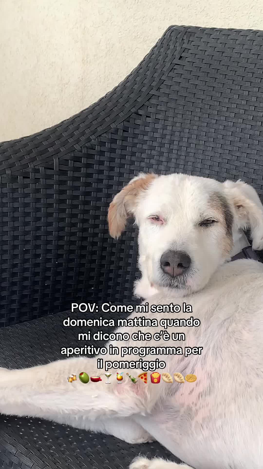 @Pao 🤍🥥🧸
