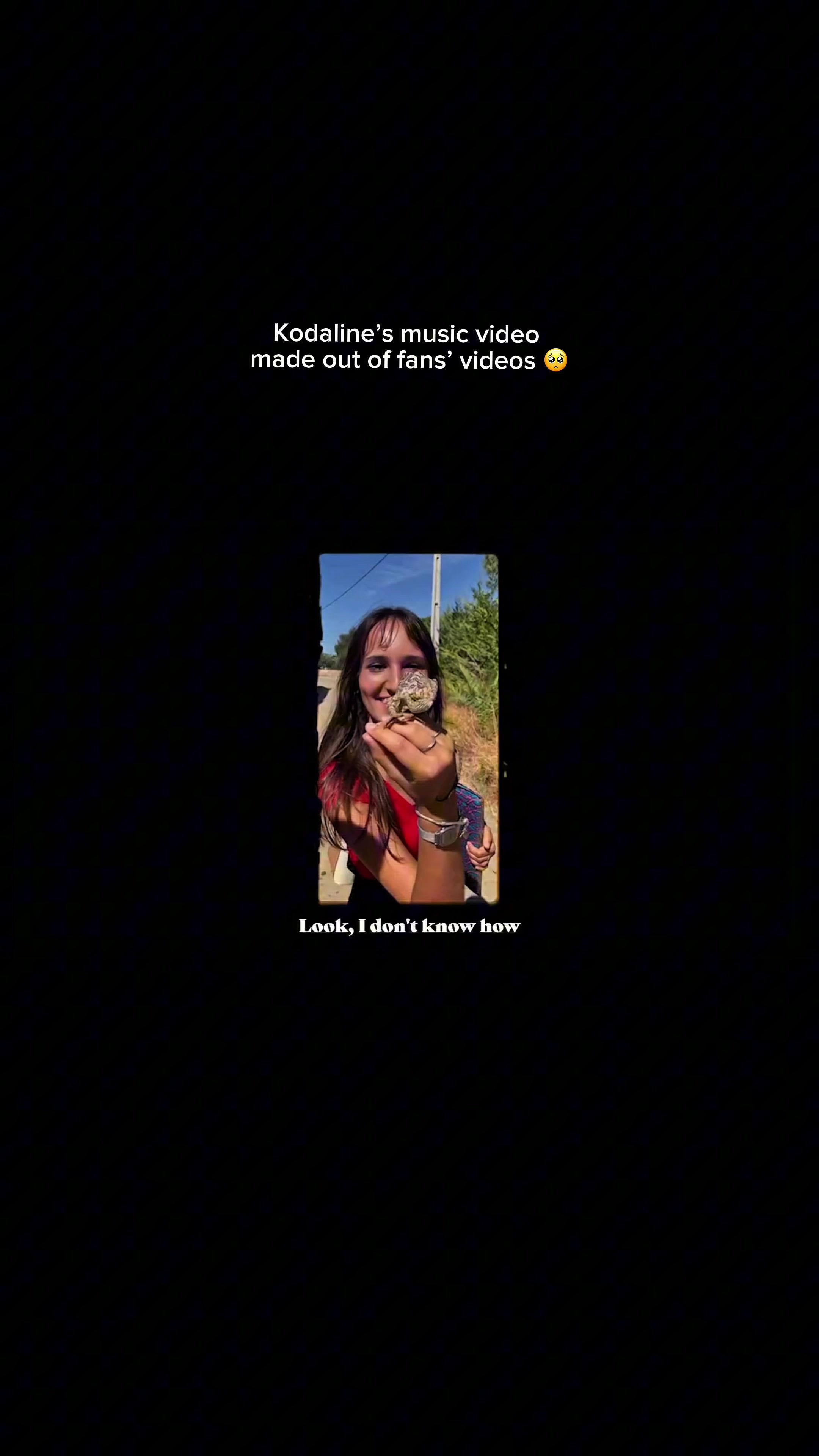 @kodalinefeels