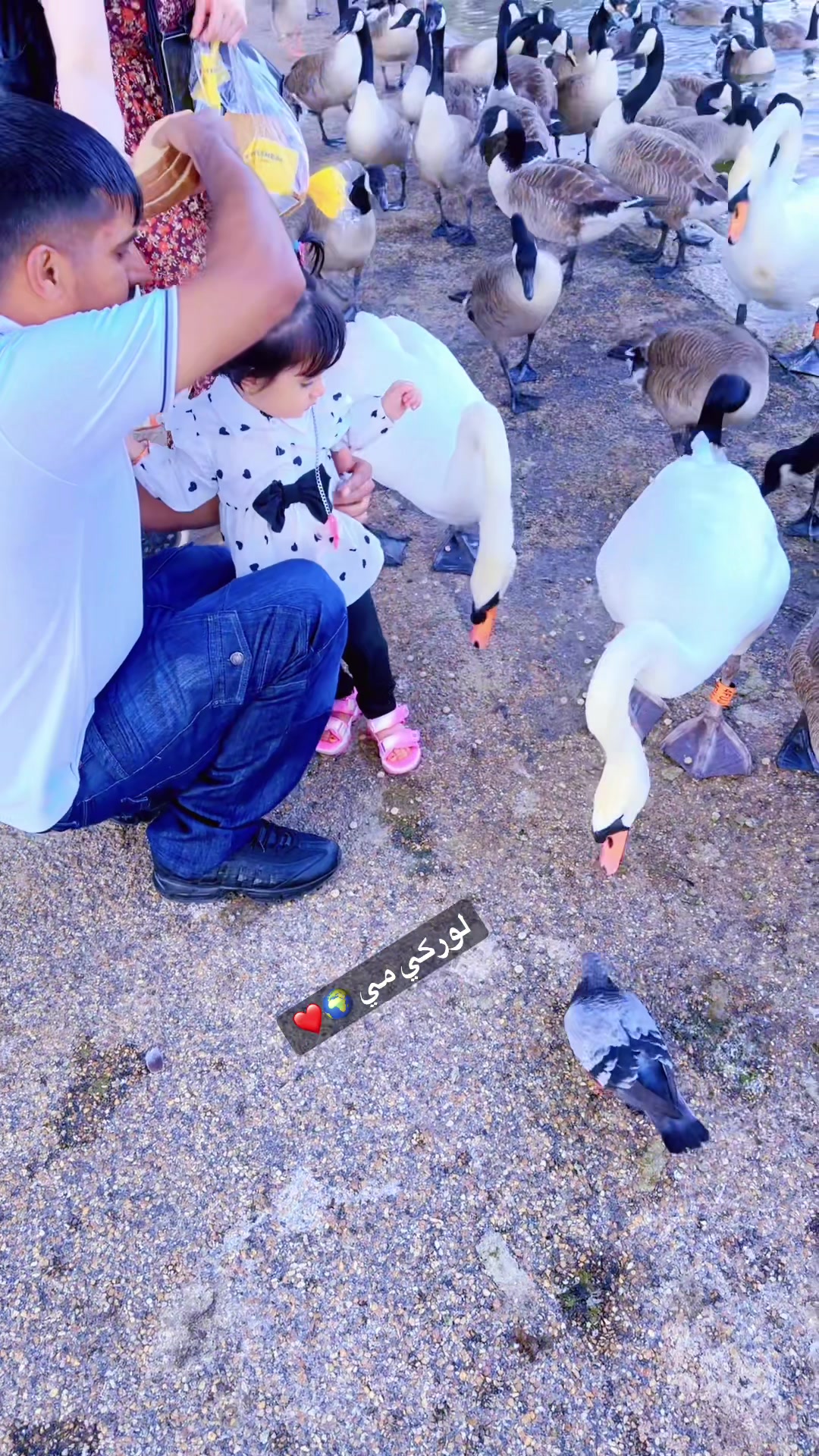 @☞ 𝙰𝚏𝚣𝚊𝚕☻♡