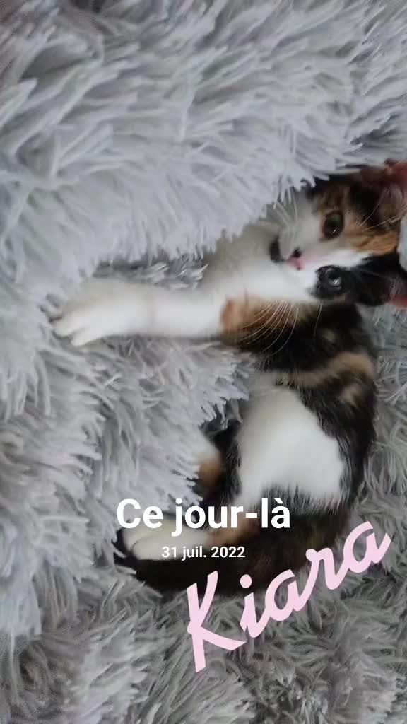 @Estelle Pruvost