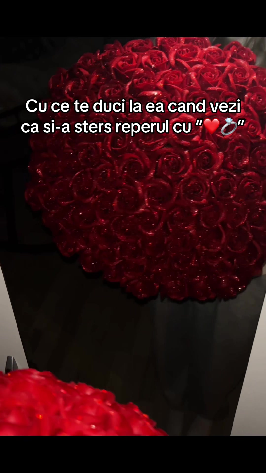 @rotherose_