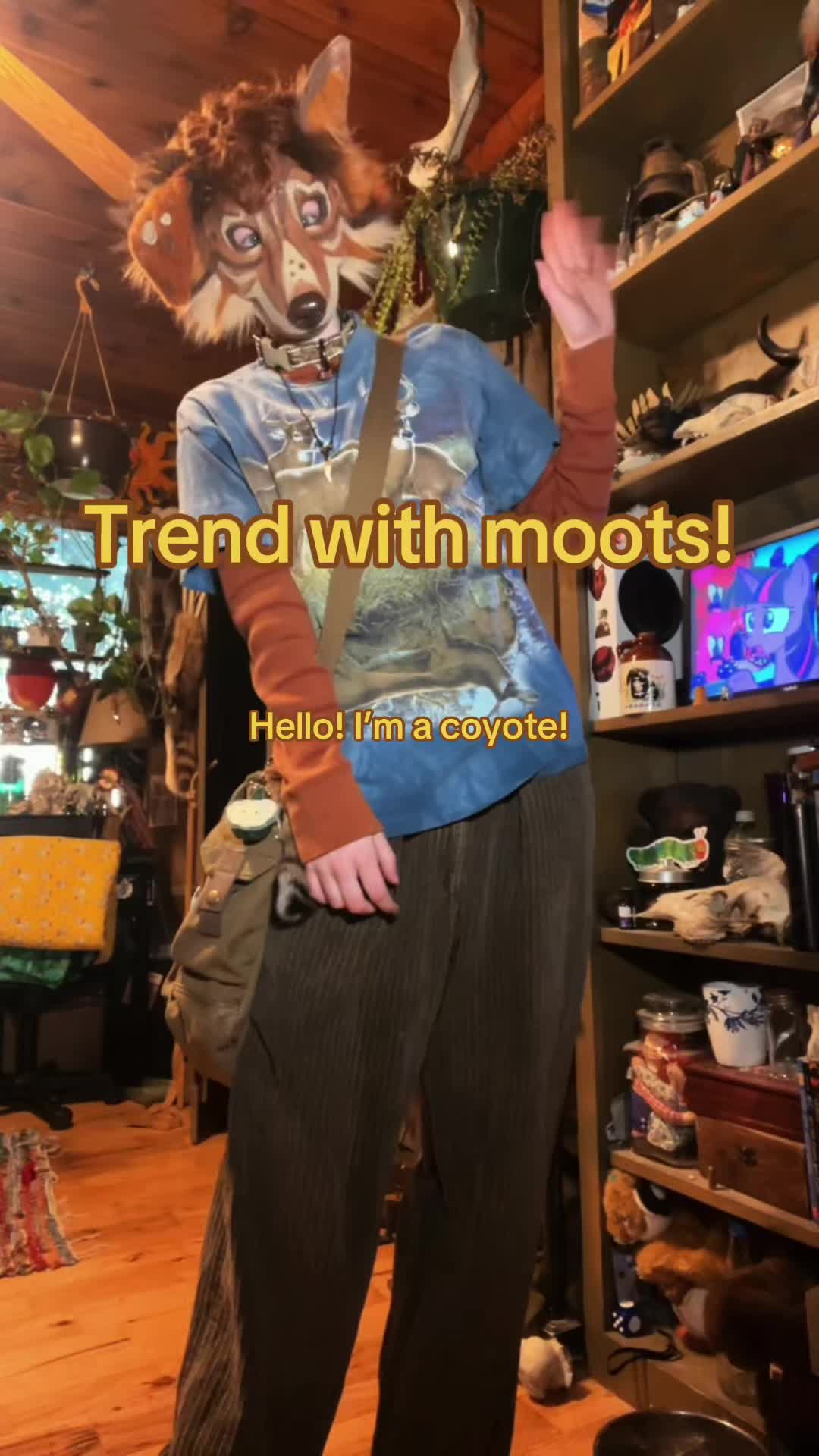 @๐ค ๐๐๐๐๐๐ ๐๐๐ ๐ค