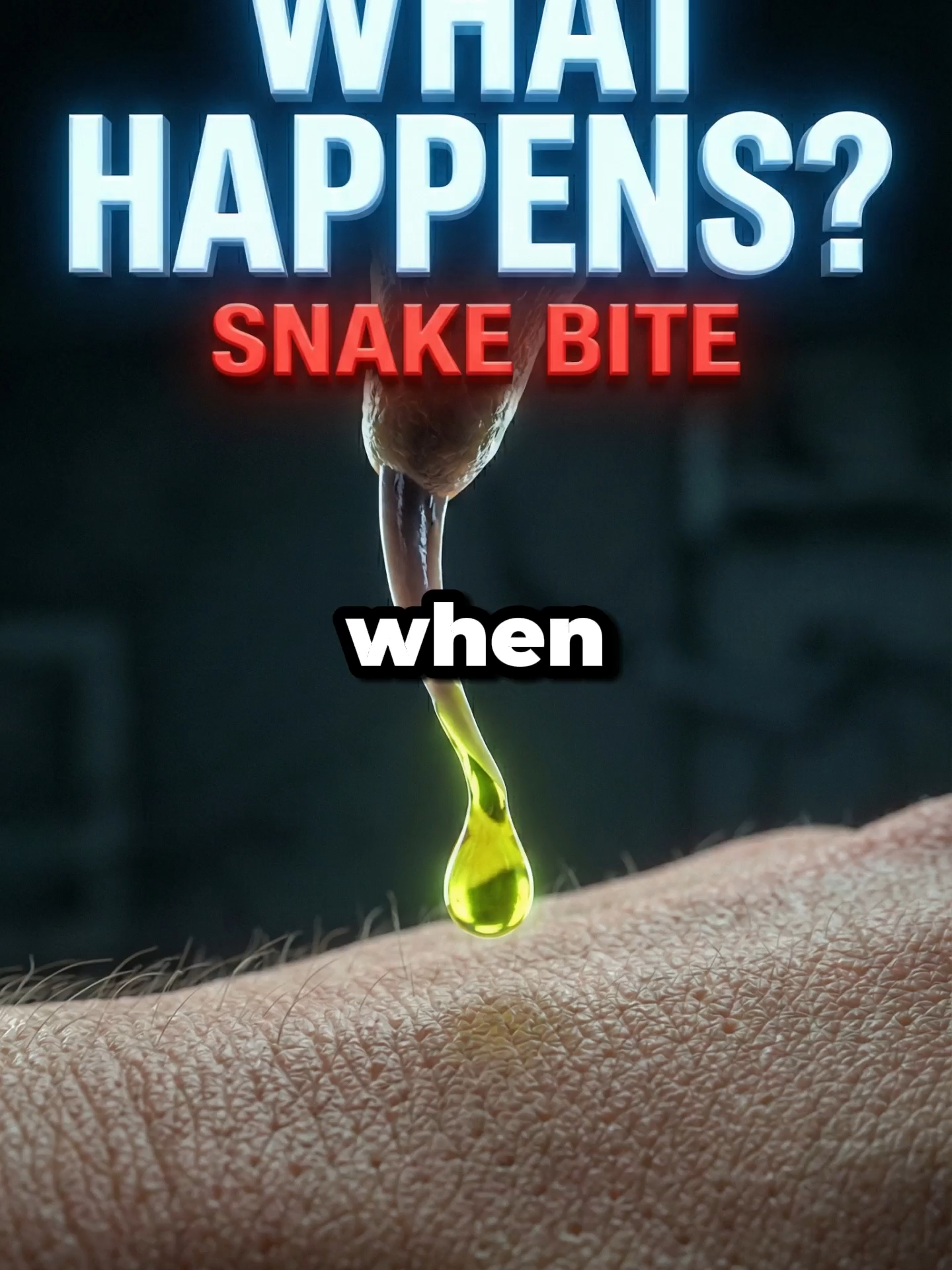 @vitalizateus