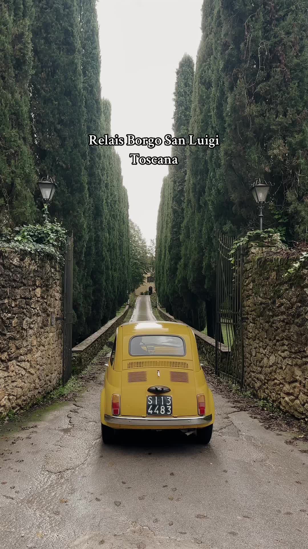@coppiaecaneinfuga