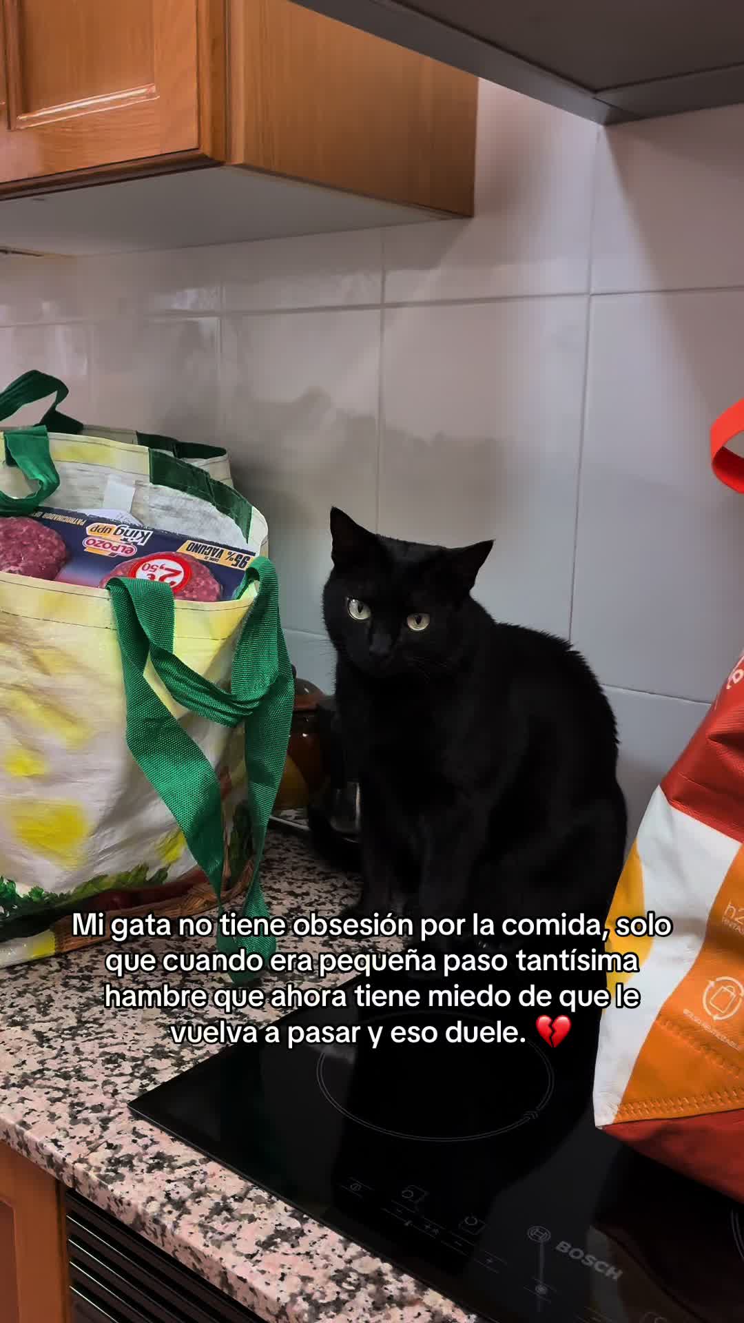 @BlackCatsMatter