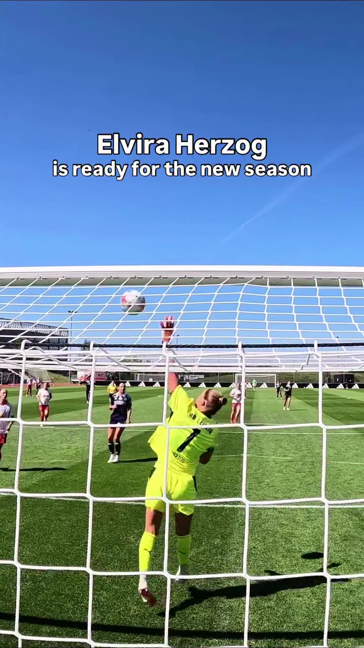 @Goalkeeping Development