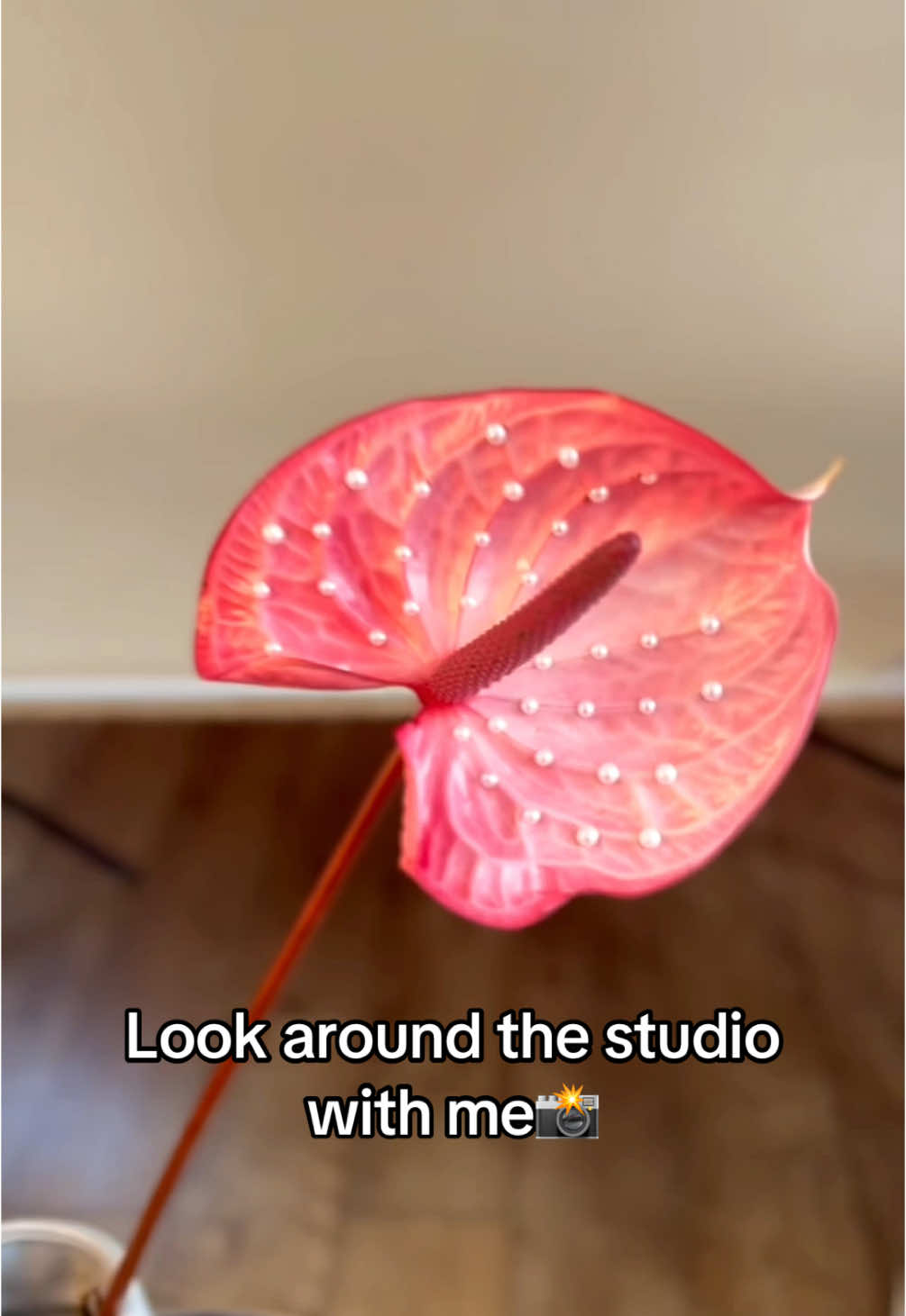 @bloom_creative_studio