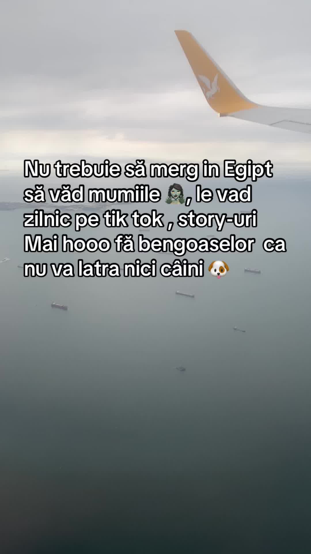 @๐ฌ๐๐๐๐๐๐ ๐ฌ๐๐๐๐๐๐