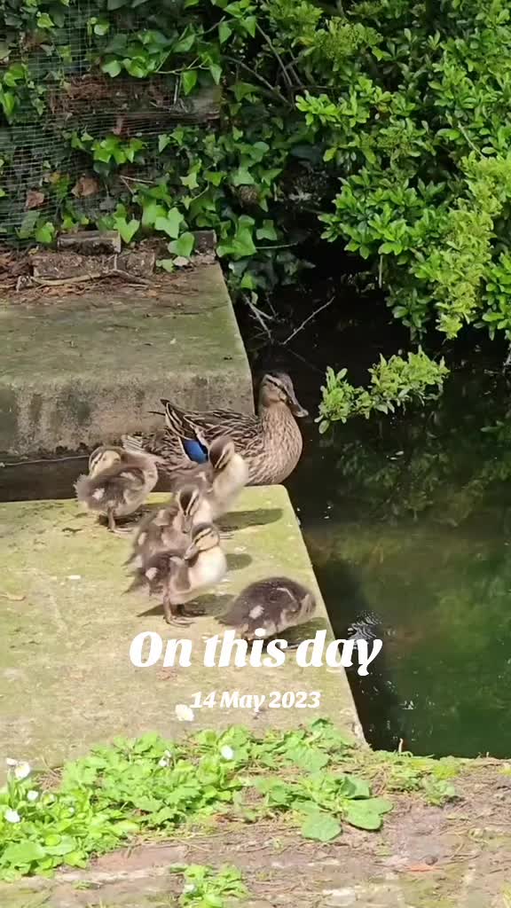 @GaryCambridge