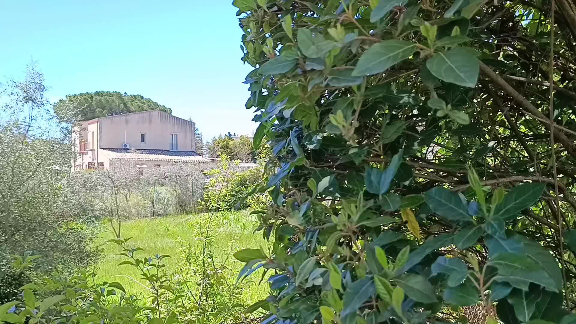 @Giorgio