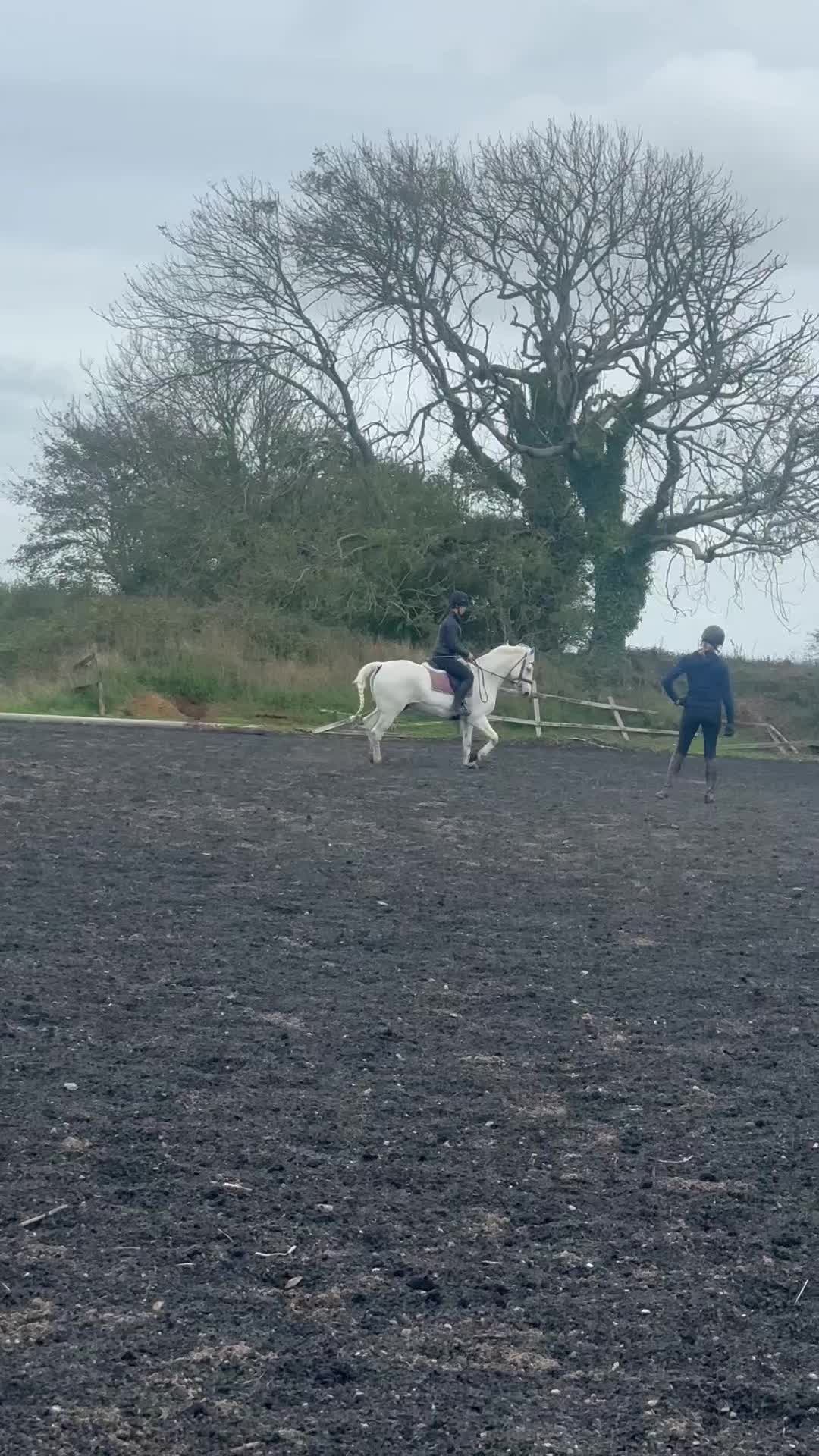 @amelia_showjumping2