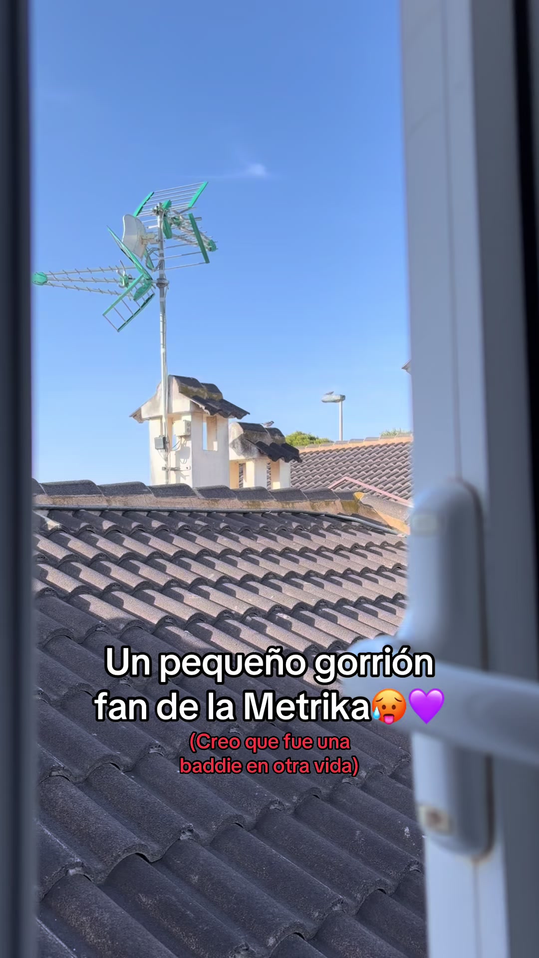 @Lolahamby✨