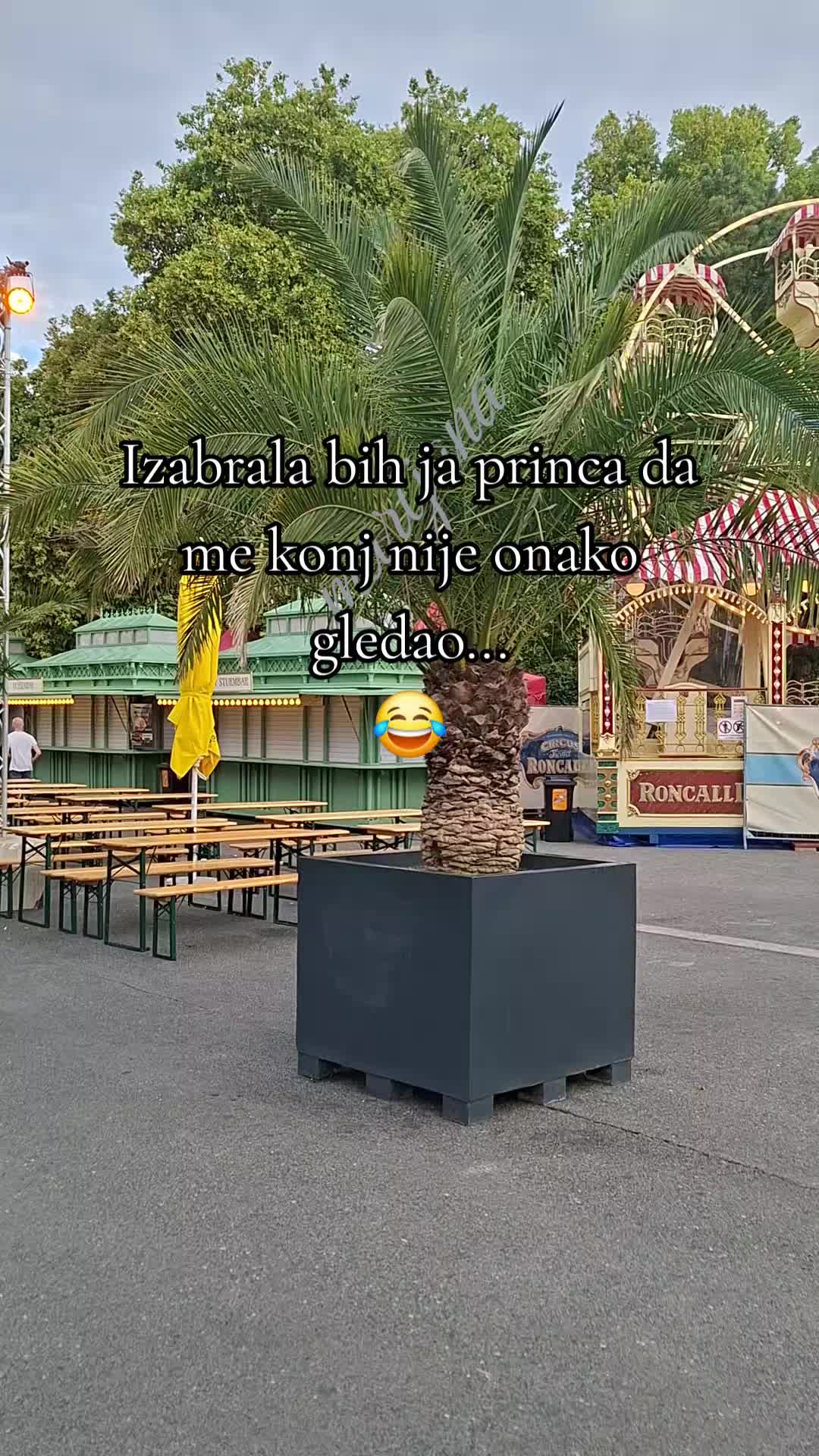 @marijana