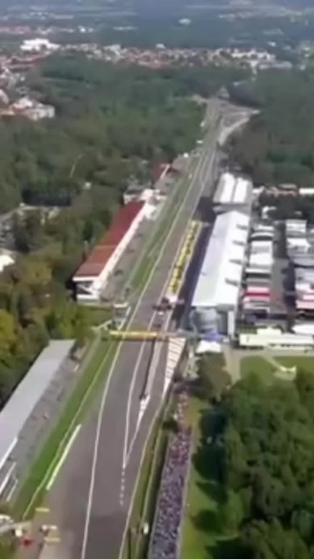 @F1 Bull Ology