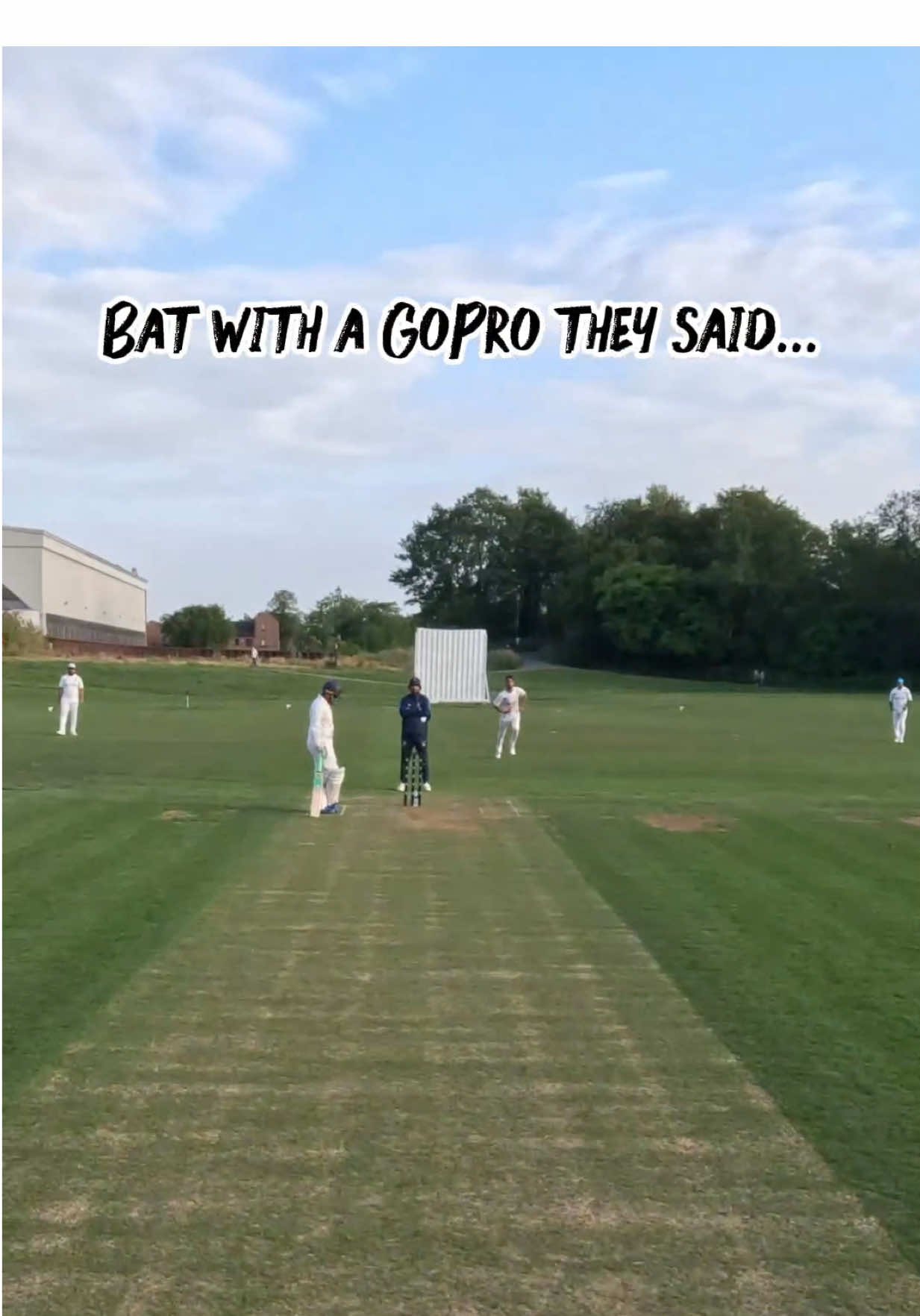 @Diamond Duck Cricket