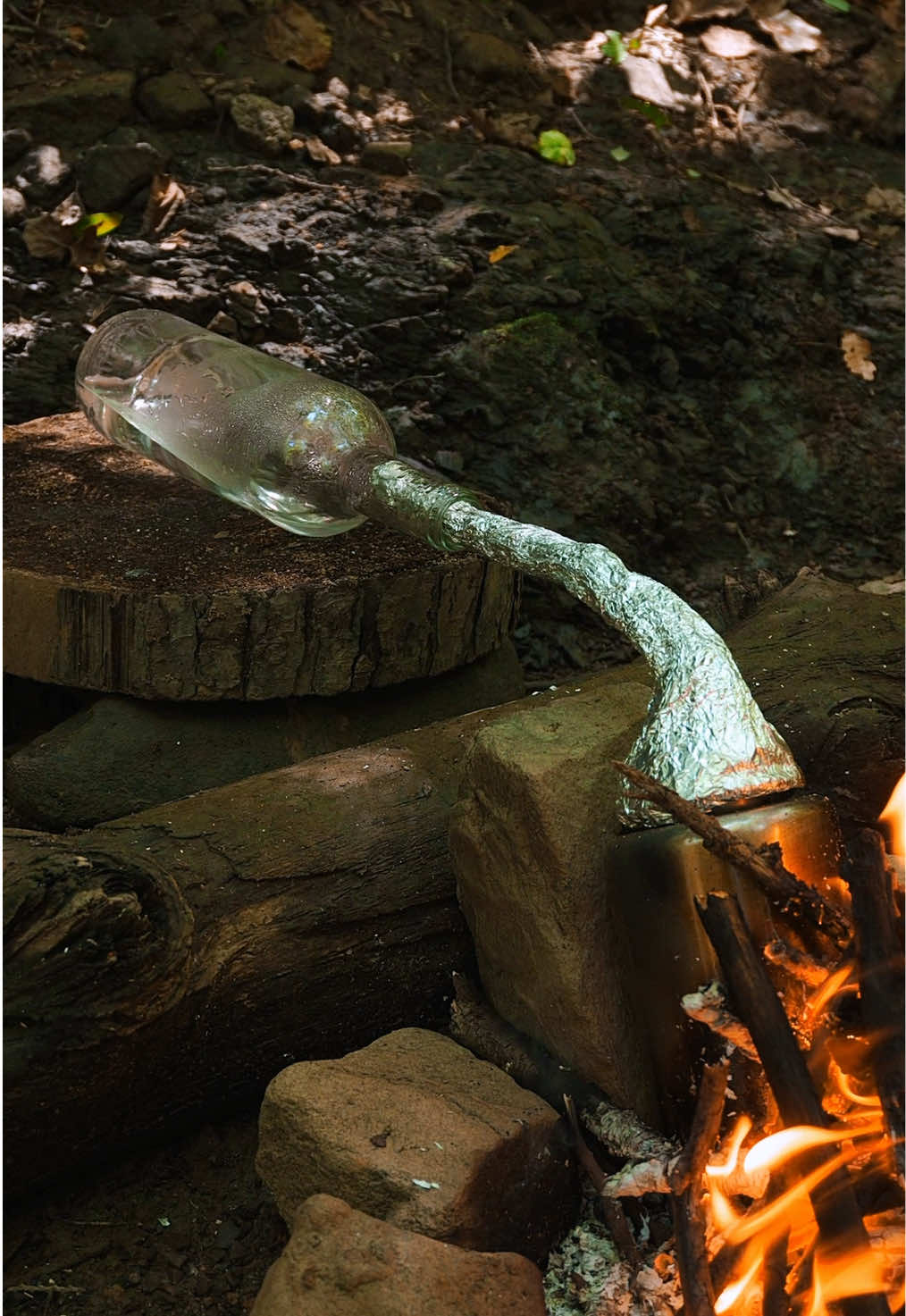 @LastBush Survival TikTok