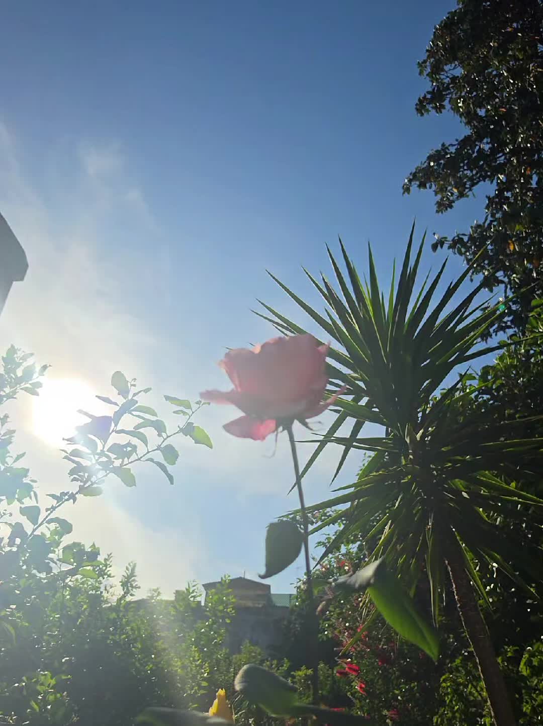 @𝘬ꫀ𝓽ꪗ☀️🐞